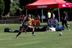 MICFEM26_VIC20135