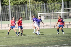 MICFEM_ON208182