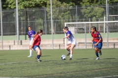 MICFEM_ON208185