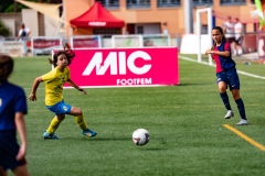 MICFEM_ON201141