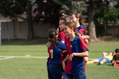 MICFEM_ON201159