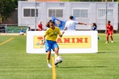 MICFEM_ON201195