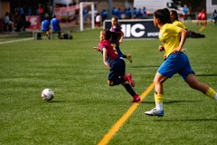 MICFEM_ON201212