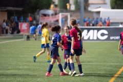 MICFEM_ON201218
