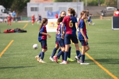 MICFEM_ON201228
