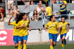 MICFEM_ON201240