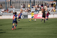MICFEM_ON201245