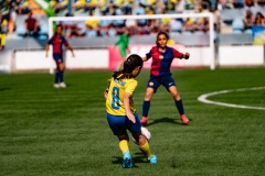 MICFEM_ON201259