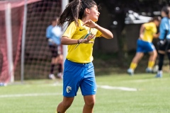 MICFEM_ON201399