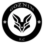 GOZNIN FC